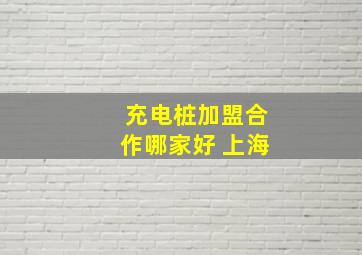 充电桩加盟合作哪家好 上海